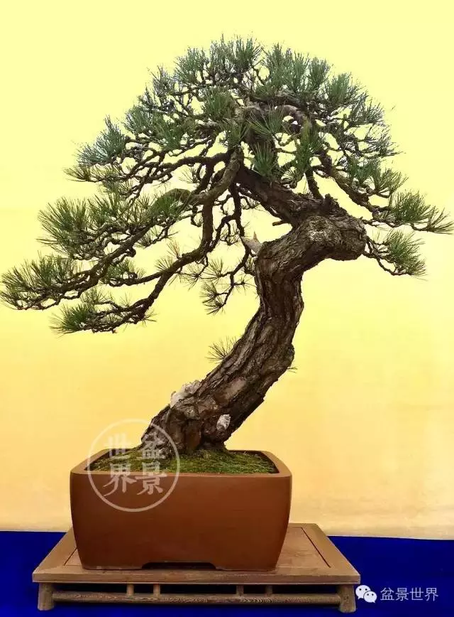 學會拐彎是一種大智慧