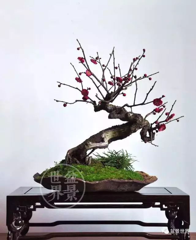 學會拐彎是一種大智慧