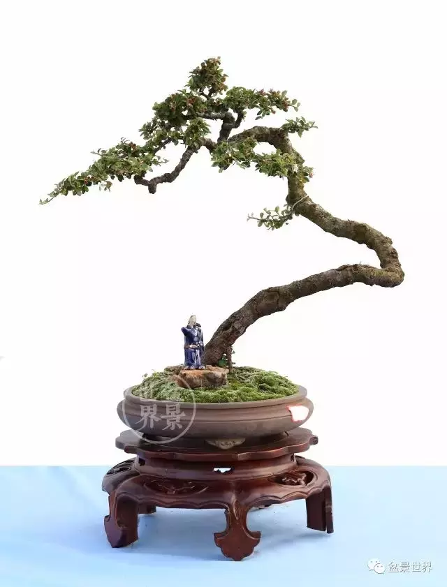 學會拐彎是一種大智慧