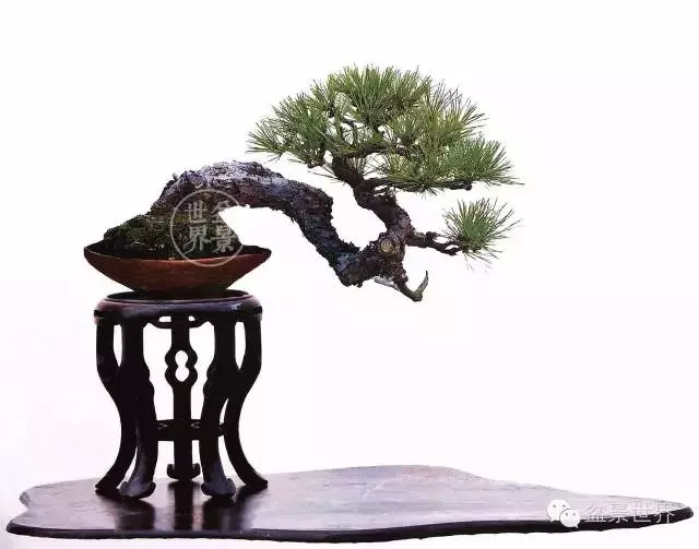 學會拐彎是一種大智慧