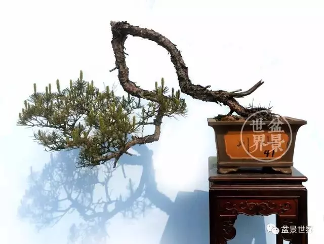 學會拐彎是一種大智慧