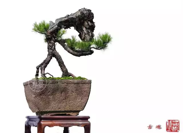 學會拐彎是一種大智慧