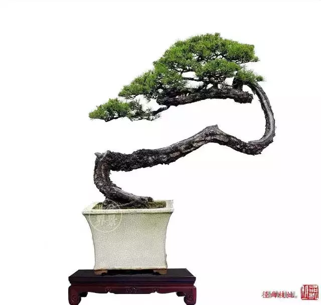 學會拐彎是一種大智慧