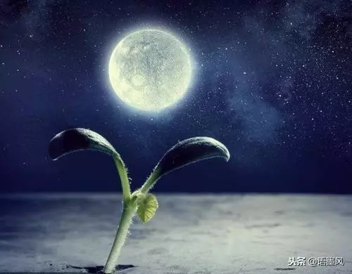 宇宙中是否存在生命,為何不公開宇宙真相