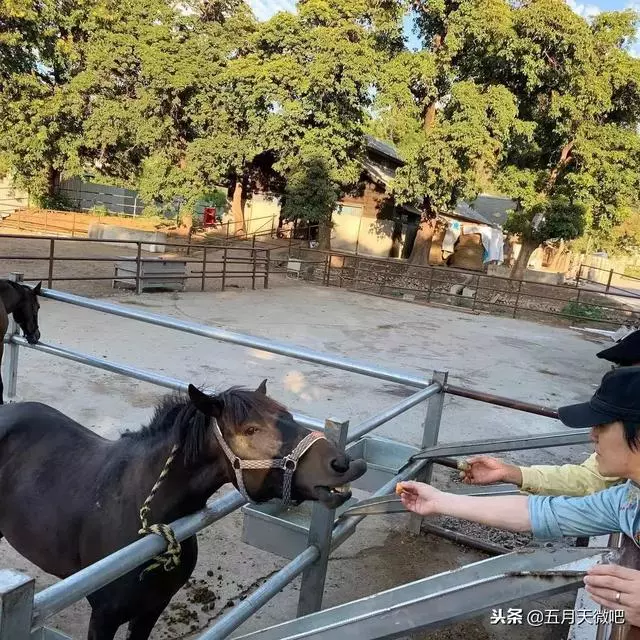 五月天怪獸練團準備篇|心靈沉澱之旅