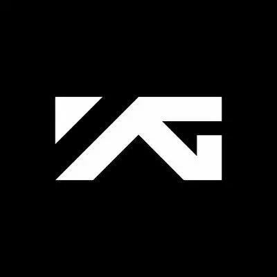 過分依賴房藝談!《YG寶石盒》正式播出後,遭遇各種尷尬!