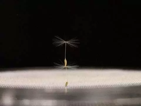 科學家:我們找到了新的飛行方式,未來製造飛碟或將成為現實!