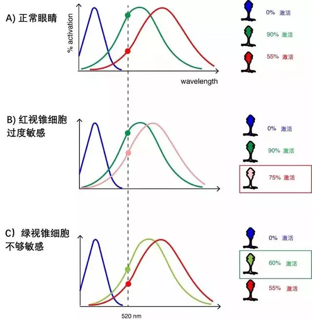 色盲患者看到繽紛色彩,竟然源自一個意外