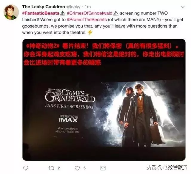 《神奇動物2》花式搞笑賣萌,給羅琳阿姨的腦洞跪了!
