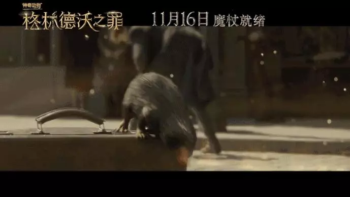《神奇動物2》花式搞笑賣萌,給羅琳阿姨的腦洞跪了!