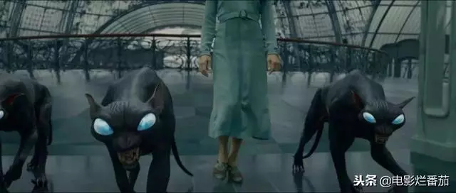 《神奇動物2》花式搞笑賣萌,給羅琳阿姨的腦洞跪了!