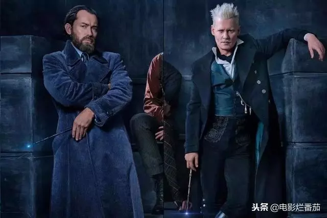《神奇動物2》花式搞笑賣萌,給羅琳阿姨的腦洞跪了!
