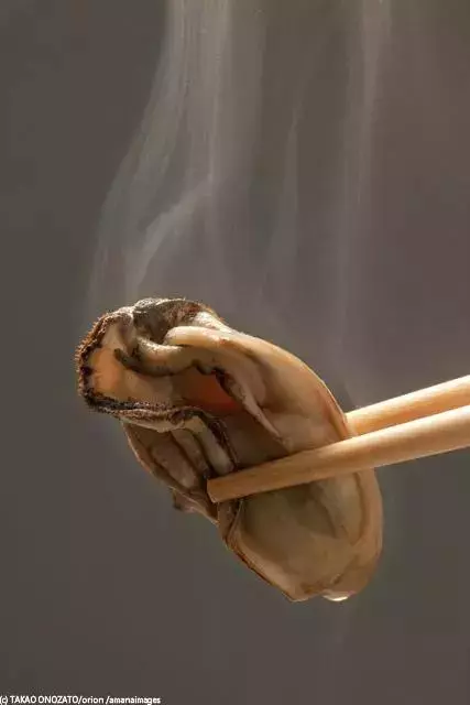 那些你不可錯過的日本東北地區美食~