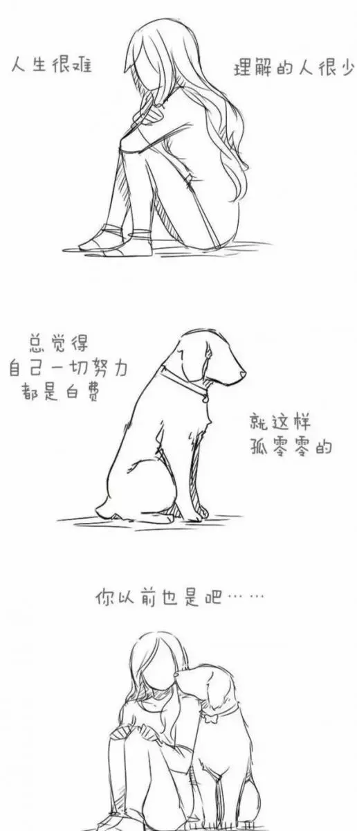 請別嘲笑視狗如命的人,有種感情你真的不懂