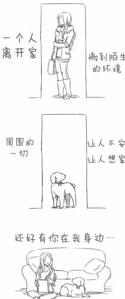 請別嘲笑視狗如命的人,有種感情你真的不懂