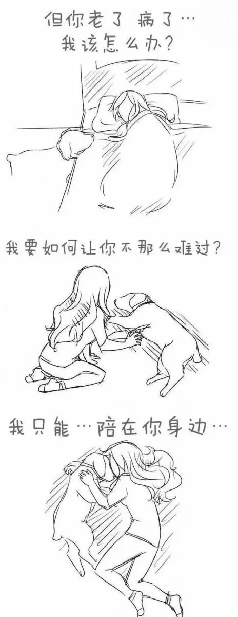 請別嘲笑視狗如命的人,有種感情你真的不懂