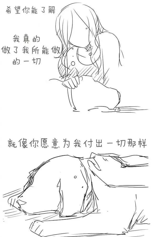 請別嘲笑視狗如命的人,有種感情你真的不懂