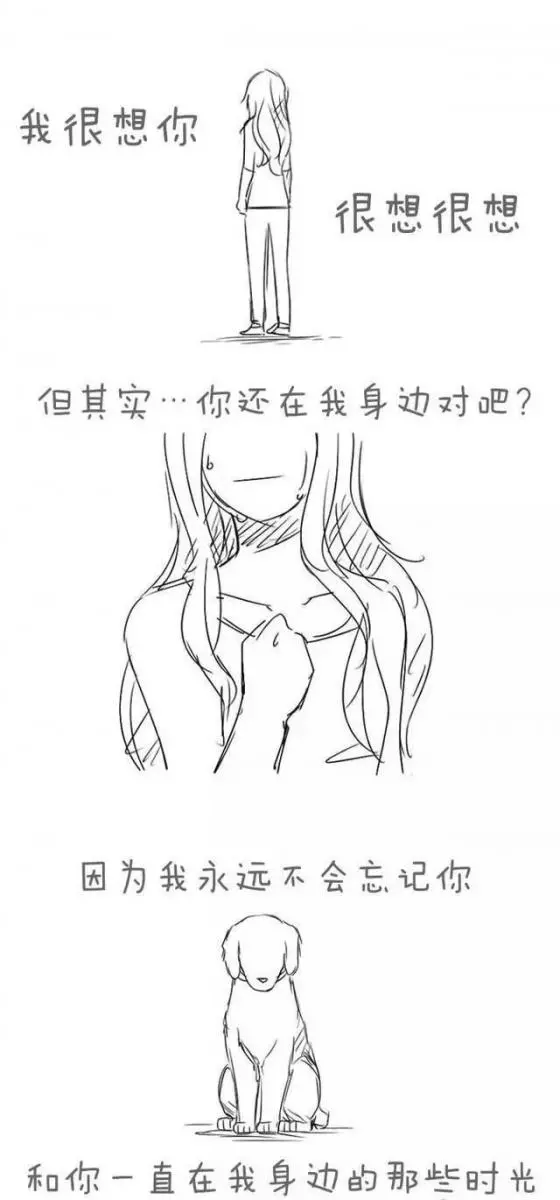 請別嘲笑視狗如命的人,有種感情你真的不懂