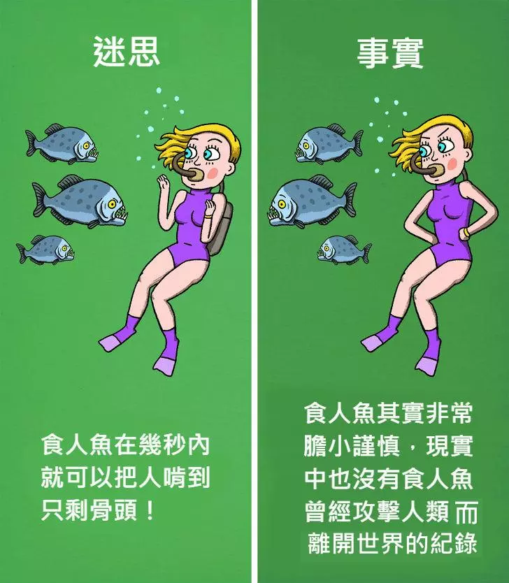 12個「被好萊塢耍得團團轉」的錯誤電影迷思!#4 食人魚「比你想像中膽小」遇到根本不用怕