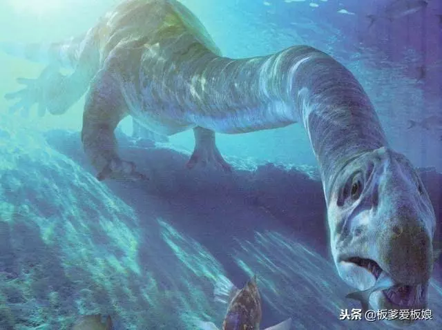 史前海洋十大霸主,第一位所向無敵