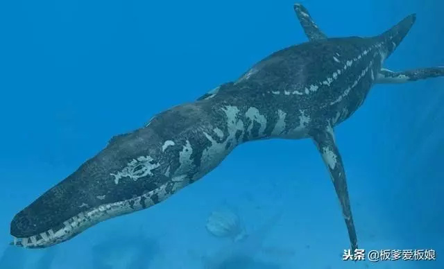 史前海洋十大霸主,第一位所向無敵