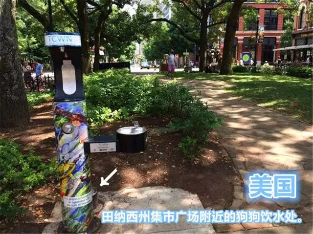國外為狗狗建設專用設施,鏟屎官犬證不白辦,在細節處體現文明