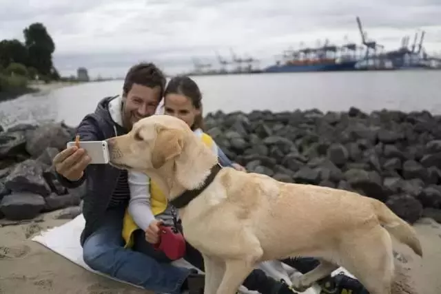 為什麼小型犬比大型犬更長壽