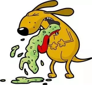 狗狗嘔吐是怎麼回事,怎麼辦?