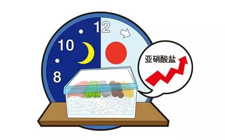 隔夜菜能吃嗎?肉類、蔬菜類、主食類哪個吃下去傷害最大?