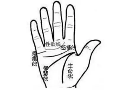 如果你的手掌有「M字型」掌紋的話,那你一定要注意 !很重要 !