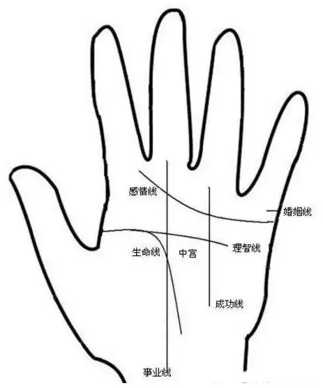 如果你的手掌有「M字型」掌紋的話,那你一定要注意 !很重要 !