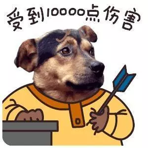 不要去惹以下5種「小心眼」狗狗,不理你事小,報復你才事大!