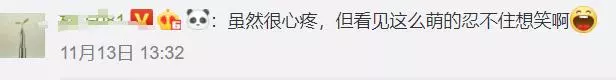 這隻走紅的「創可貼警犬」,原來早就在娛樂圈「出道」……