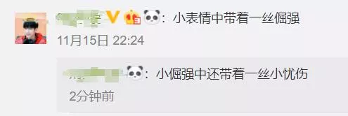 這隻走紅的「創可貼警犬」,原來早就在娛樂圈「出道」……