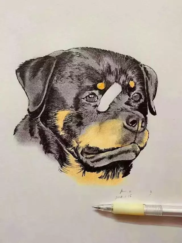 這隻走紅的「創可貼警犬」,原來早就在娛樂圈「出道」……