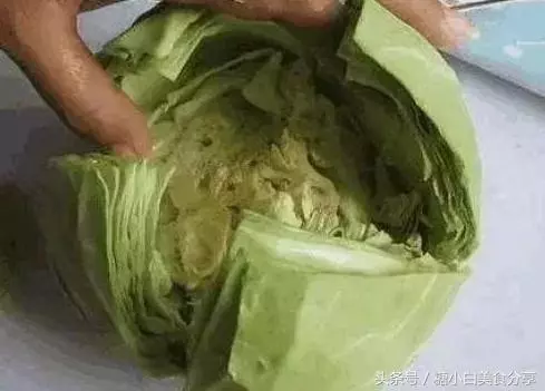 第一次去婆婆家吃飯,她只用一個「包菜」招待,端上餐桌後樂了