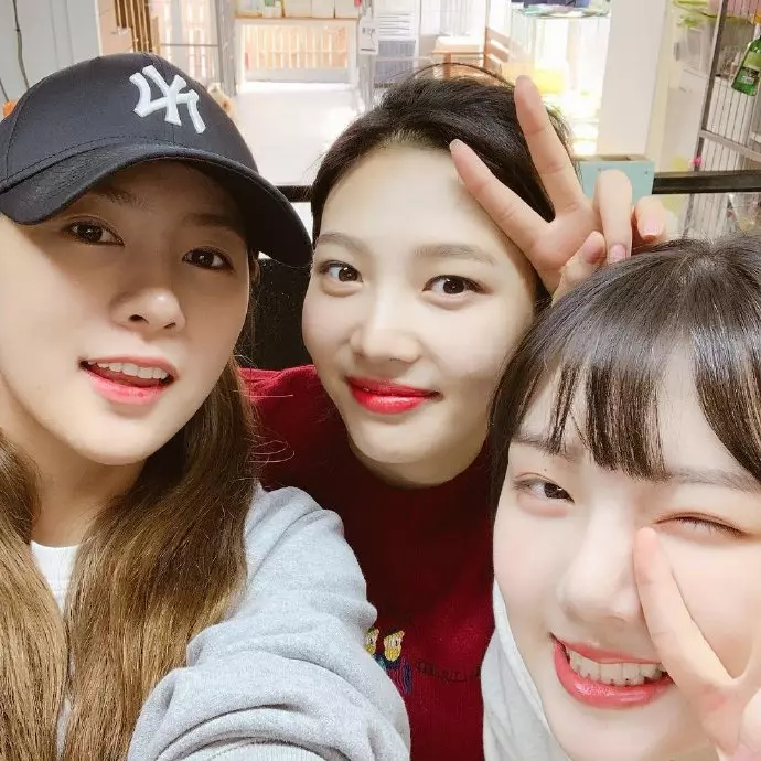 [GFRIEND][分享]181119 pann熱議！去遺棄狗流浪站做公益的96line吳夏榮-樸秀榮-鄭藝琳