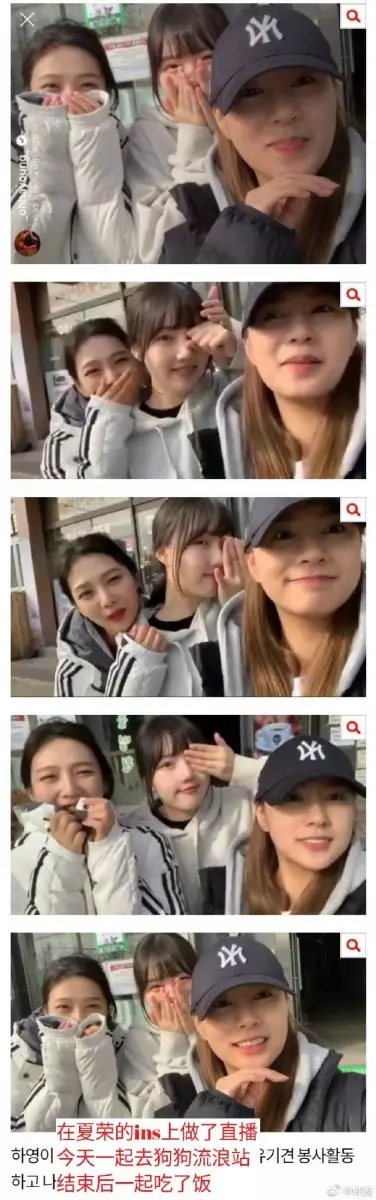 [GFRIEND][分享]181119 pann熱議！去遺棄狗流浪站做公益的96line吳夏榮-樸秀榮-鄭藝琳