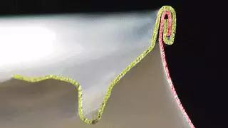 用了這麼多年的易拉罐,你也猜不到那一圈迷之凸起里有什麼