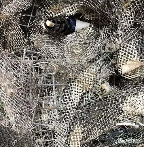 現實中的透視外掛:美國藝術家用垃圾做的名畫,騙過你的雙眼