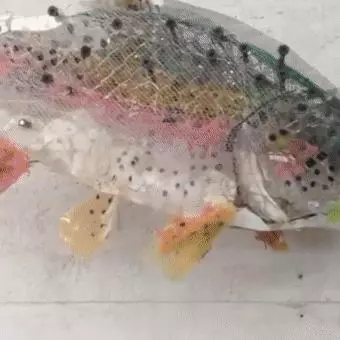現實中的透視外掛:美國藝術家用垃圾做的名畫,騙過你的雙眼