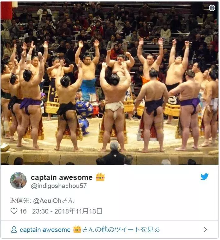 小熊貓遇到同伴,突然舉雙手嚇唬同伴,嘿!網笑翻:又萌又可怕!