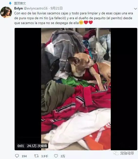 翻到主人衣服「狗狗趴著不肯走」 聞著熟悉氣味:6年了我還是很想你...