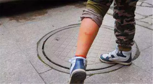 路人遇到街邊流浪狗,學會三點應對措施,正確處理沒危險