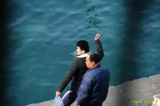 路人遇到街邊流浪狗,學會三點應對措施,正確處理沒危險