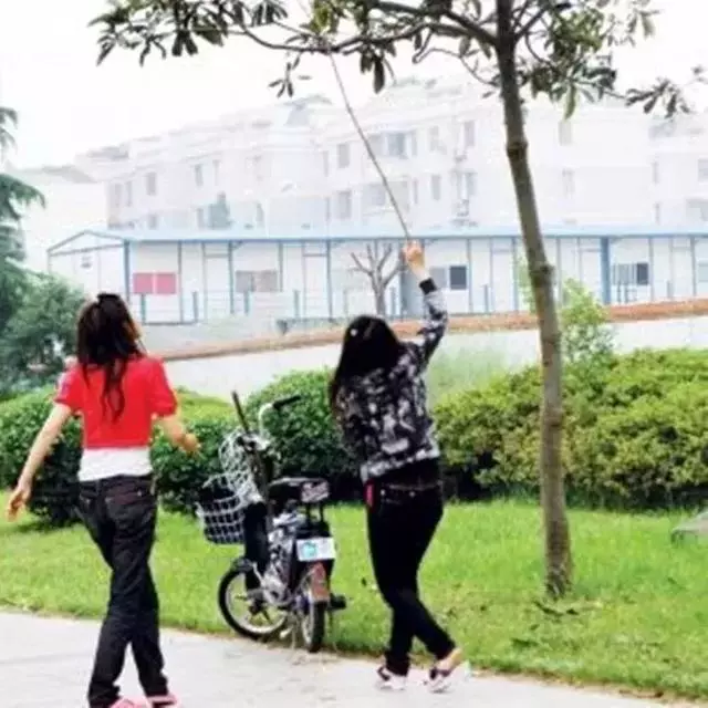 路人遇到街邊流浪狗,學會三點應對措施,正確處理沒危險