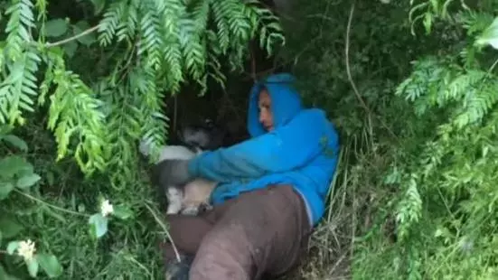 男子野外郊遊,發現叢林裡有動靜,發現一隻臨產的流浪狗,帶回家幾天驚喜來了,男子:感覺獲得了重生!