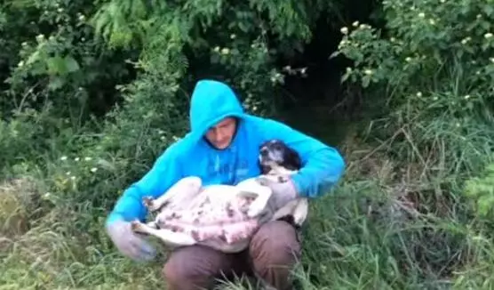 男子野外郊遊,發現叢林裡有動靜,發現一隻臨產的流浪狗,帶回家幾天驚喜來了,男子:感覺獲得了重生!