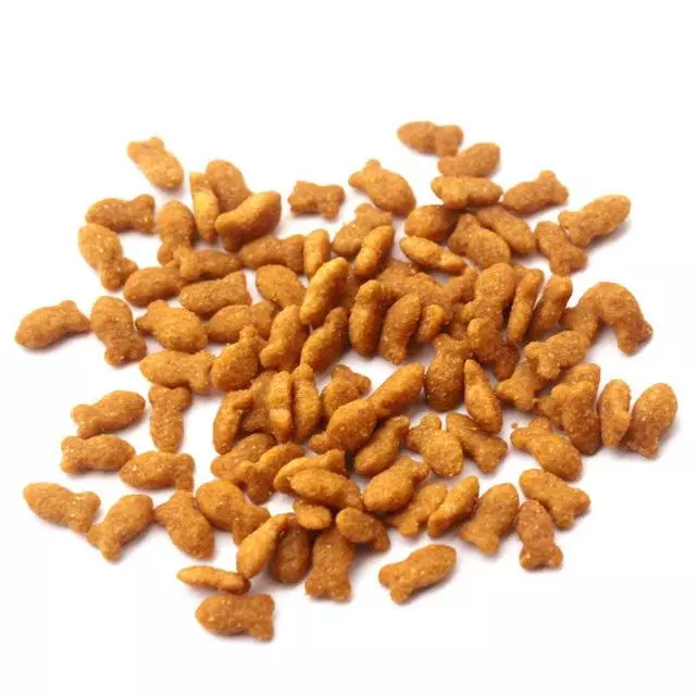 大事件!狗狗吃了會死的6種食物,請不要輕易嘗試