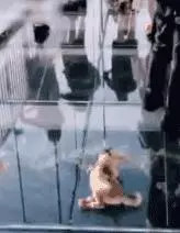愛它,就不要將它拋向空中